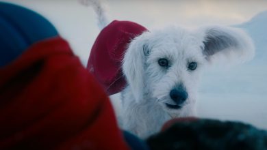 Krypto Super Dog in James Gunn